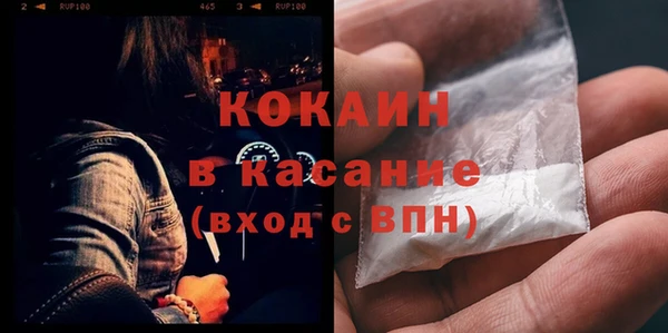 крисы Абаза