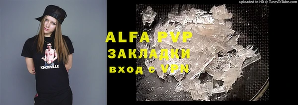 крисы Абаза