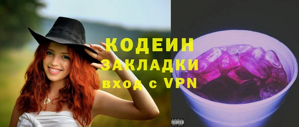 амф Пересвет