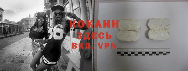 крисы Абаза