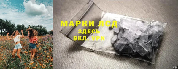 крисы Абаза